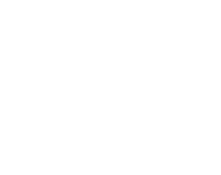 DRlogoWhiteMark